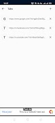 Bluex Browser - Secure Browser imagem de tela 2