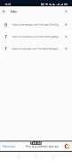 Bluex Browser - Secure Browser 스크린샷 2