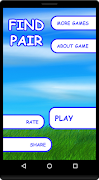 Find Pair پوسٹر