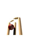 Classic Sports screenshot 1