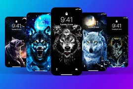Wolf Wallpaper HD screenshot 5