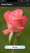 Flower Names تصوير الشاشة 1