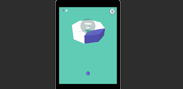 Color Flash screenshot 2