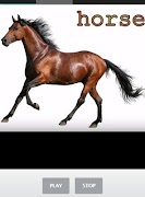 Sound Effects screenshot 6