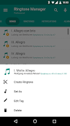 Professional Ringtone Manager captura de pantalla 7
