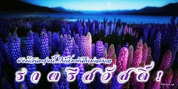 Chúc ngủ ngon ảnh chụp màn hình 4