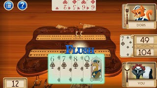 Aces® Cribbage Ekran Görüntüsü 3