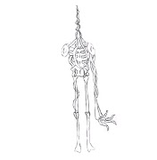 2 Schermata Come si disegna un mostro dalla testa di sirena