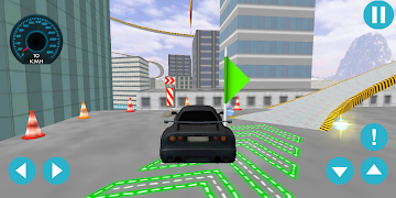Crazy Stunts ポスター