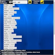 My Memory HUN-ENG Dictionary screenshot 1