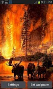 Forest Fire Live Wallpaper poster
