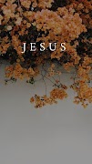 Jesus Wallpapers HD 2024 截图 4