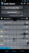 Cache Cleaner plakat