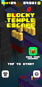 پوستر Blocky Temple Escape