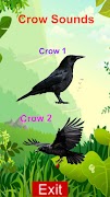 Real Crow Sounds 3D Simulator スクリーンショット 7