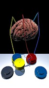 Brain Connect ảnh chụp màn hình 1