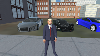 Poster Donald Trump Simulation