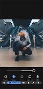 Focos Pro Camera Helper Cartaz