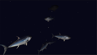 Virtual Oceans 截图 3