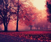 Autum Falling leaves poster