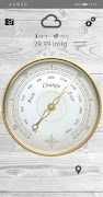 Professional barometer screenshot 1
