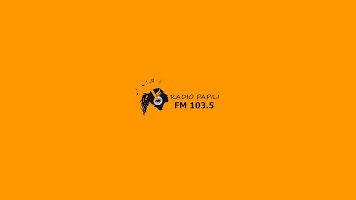Radio Papili 103.5 ภาพหน้าจอ 3