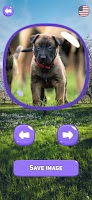 Puppy Memory screenshot 4