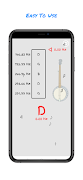 Banjo Tuner Plakat