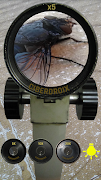 Microscope پوسٹر