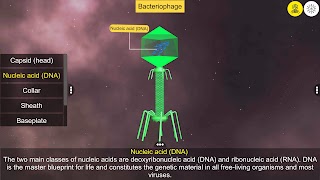 Learn Viruses スクリーンショット 2