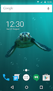 Cute Turtle Wallpaper Theme скриншот 5