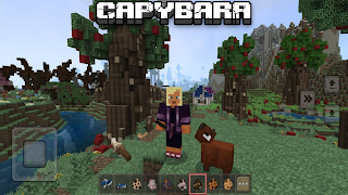 Fancy Craft: Sandbox Survival screenshot 4