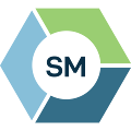 SalesManager Survey