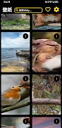 برنامه‌نما wallpaper عکس از صفحه