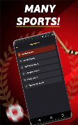 TeamTopTen الملصق