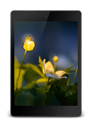 Luciérnagas HD Lock Screen captura de pantalla 7