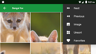 Dogs Puzzle 截图 7