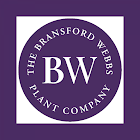 Bransford Webbs ícone