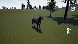 Cane Corso Dog Simulator 3D screenshot 4