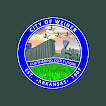 City of Weiner AR