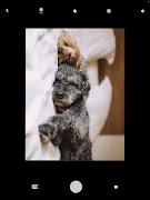 برنامه‌نما Timer Filter Camera عکس از صفحه