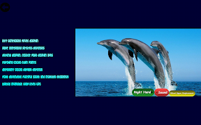 Dolphin Wheel Screenshot 1