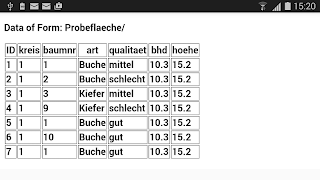 DEM - Data Entry Mobil screenshot 5