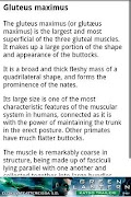 Human Anatomy capture d'écran 2
