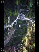 STV Web syot layar 6