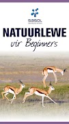 Sasol Natuurlewe vir Beginners poster