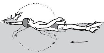 Swimming Technique For Beginne 截圖 3
