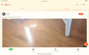 Bark screenshot 4