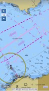 Map Chart Mosaic ảnh chụp màn hình 6