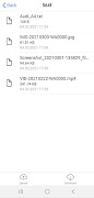 Flip Transfer screenshot 3